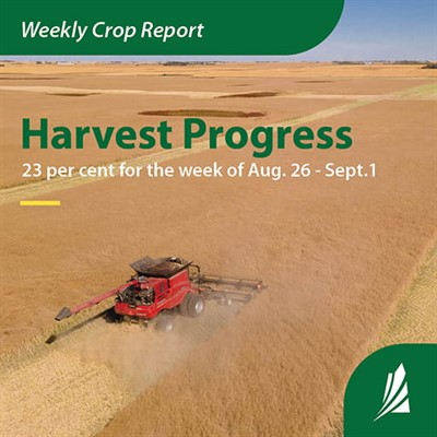 NRCrop_Report_Infog_for_Aug_26Sept_1_English